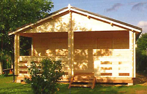 Glaieul30